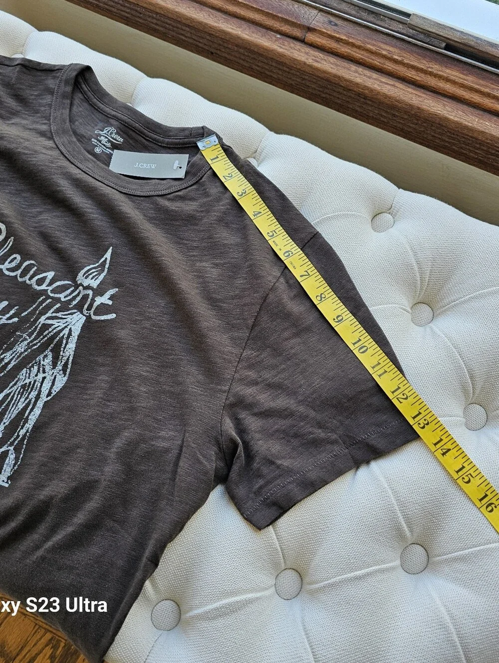 New! J Crew Medium M Men's Slub cotton Pleasant Bay graphic brown T-shirt NWT